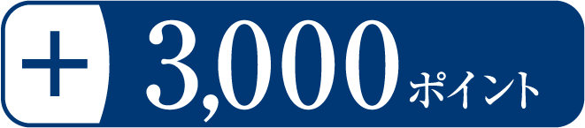 3,000ポイント