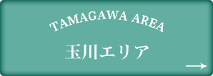 玉川エリア