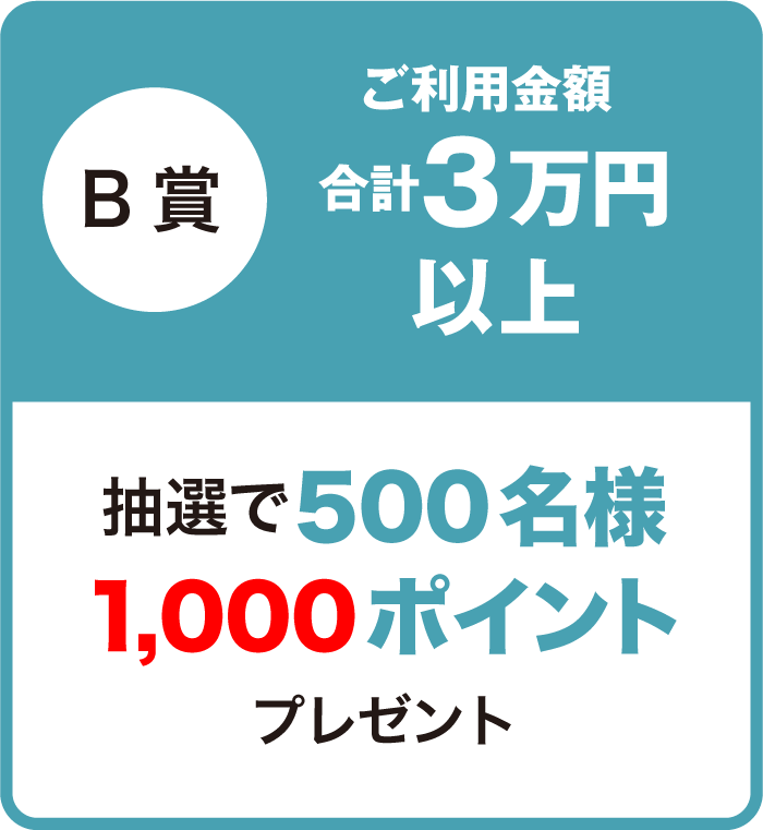 B賞ご利用金額合計3万円以上抽選で500名様1,000ポイントプレゼント