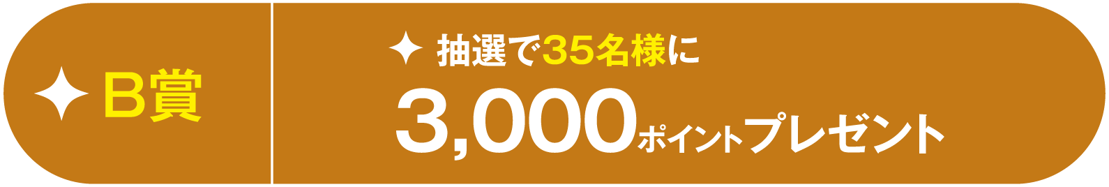 B賞抽選で35名様に3,000ポイントプレゼント