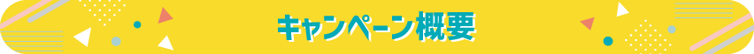 キャンペーン概要