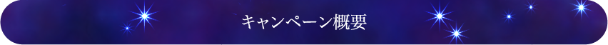 キャンペーン概要