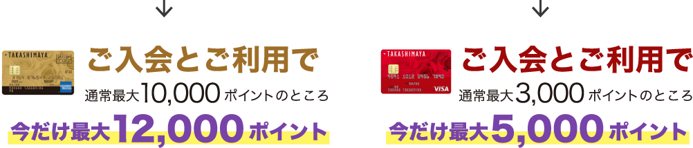 ご入会とご利用で 通常最大10,000ポイントのところ 今だけ最大12,000ポイント ご入会とご利用で 通常最大3,000ポイントのところ 今だけ最大5,000ポイント