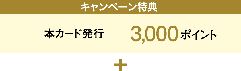 キャンペーン特典 本カード発行 3,000ポイント + 