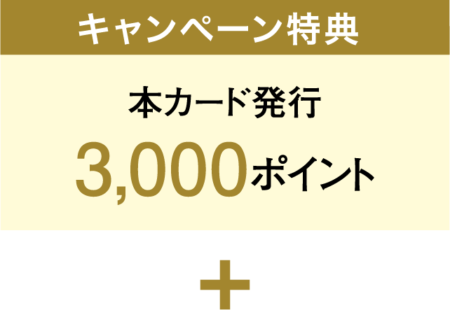キャンペーン特典 本カード発行 3,000ポイント + 
