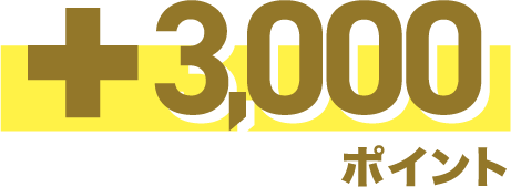 +3,000ポイント