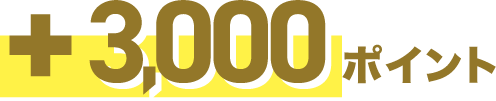 +3,000ポイント