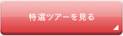 特選ツアーを見る