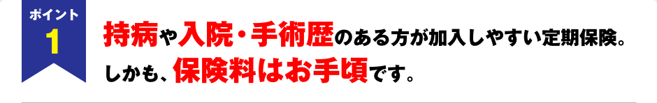 ポイント1　持病や入院・手術歴のある方が加入しやすい定期保険。