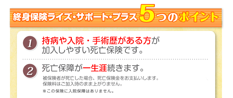 終身保険 ライズ・サポート・プラス5つのポイント